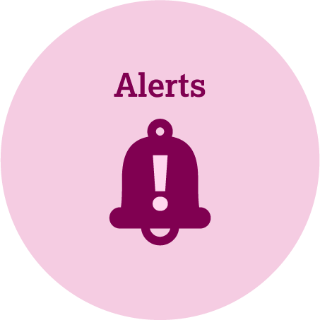 Alert Icon